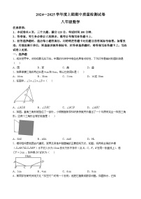 河南省信阳市新县2024-2025学年八年级上学期期中质量监测数学试卷