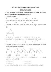 江苏省泰州市靖江市2024-2025学年九年级上学期期中数学试卷