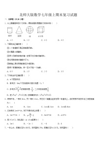 2024--2025学年北师大版七年级数学上册期末复习试题