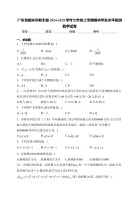 广东省韶关市新丰县2024～2025学年七年级(上)期中学业水平监测数学试卷(含详解)