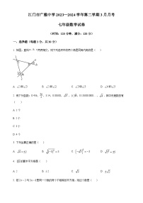 广东省江门市广雅中学2023-2024学年七年级下学期月考数学试题（B卷）