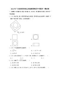 2024年广东省深圳市南山实验教育集团中考数学一模试卷