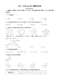 2024年四川省内江市第一中学九年级中考一模数学模拟试题（原卷版+解析版）