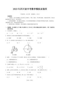 2023年四川省中考数学模拟试卷四（含答案）