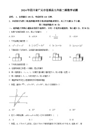 2024年四川省广元市苍溪县中考二模数学模拟试题