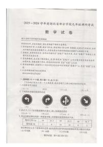 2023-2024学年度湖北省部分学校九年级调研考试数学试卷（含答案）