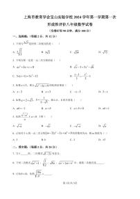上海市教育学会宝山实验学校2024-2025学年上学期期中八年级数学试卷