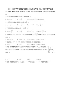 安徽省合肥市第三十八中学2024—2025学年上学期九年级期中数学试卷