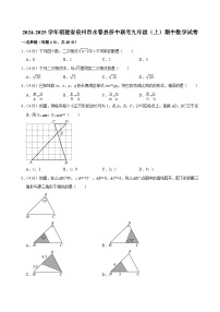 福建省泉州市永春县侨中联考2024-2025学年九年级上学期期中数学试卷