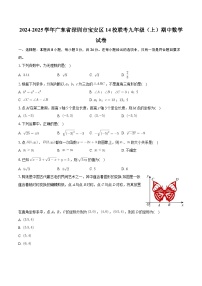广东省深圳市宝安区14校联考2024—2025学年上学期九年级期中数学试卷