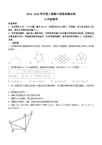 河南省信阳市新县2024-2025学年九年级上学期期中质量监测数学试卷