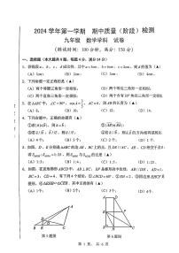 上海市浦东新区2024-2025学年九年级上学期期中考试数学试卷