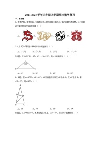 2024-2025学年八年级上学期期末数学复习练习人教版