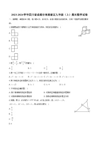 四川省成都市东部新区2023-2024学年九年级上学期期末数学试卷