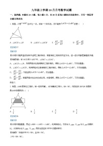 山东省聊城市东阿县姜楼中学2024-2025学年九年级上学期10月月考数学试题（解析版）-A4