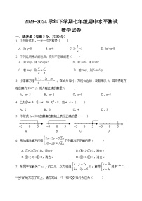 河南省新乡市原阳县2023-2024学年七年级下学期4月期中数学试题