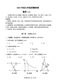 2024年广东省深圳高级中学中考数学二模试卷