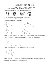 江西省上饶市鄱阳县双港镇尧山中学2024-2025学年八年级上学期11月期中考试数学试题