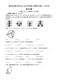 湖北省荆州市实验中学2024--2025学年九年级上学期期中考试数学试卷（11月）(无答案)