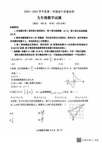 山东省泰安市宁阳县2024-2025学年九年级上学期期中考试数学试题