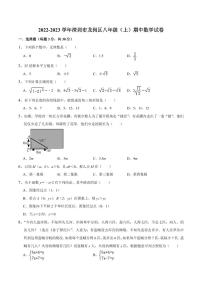 2022-2023学年深圳市龙岗区八年级（上）期中数学试卷（含答案）