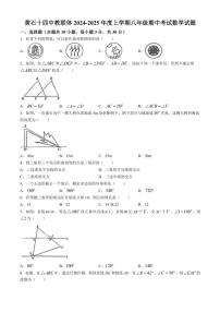 湖北省黄石十四中教联体2024～2025学年八年级(上)期中数学试卷(含答案)