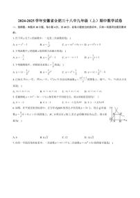 安徽省合肥市第三十八中学2024—2025学年九年级(上)期中数学试卷(含答案)