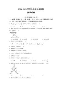 四川省眉山市仁寿县眉山天府新区2024～2025学年八年级(上)期中数学试卷(含答案)