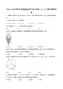 2024—2025学年江苏省盐城市阜宁县九年级（上）11月期中数学试卷（含答案）