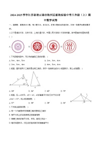 2024-2025学年江苏省连云港市海州区新海实验中学八年级（上）期中数学试卷（含答案）