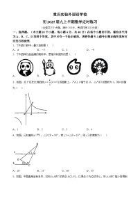 重庆市九龙坡区四川外国语大学附属外国语学校2024-2025学年九年级上学期11月期中考试数学试题(无答案)