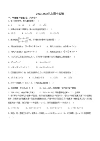 辽宁省锦州市实验学校2022-2023学年八年级上学期期中数学试题(无答案)