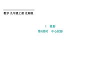 初中数学北师大版（2024）九年级上册1 投影教课课件ppt