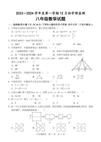 山东省济宁市金乡县2023-2024学年八年级上学期12月学情监测数学试卷(含答案)