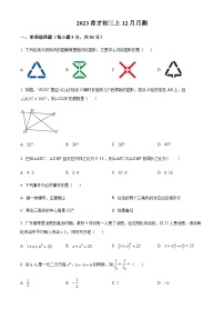 广东省 广州市越秀区育才中学2023-2024学年九年级上学期月考数学试题（含答案）