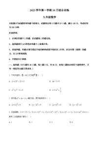 广东省广州市白云中学2023-2024学年九年级上学期月考数学试题（含答案）