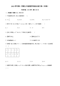 广东省广州市第七中学2023-2024学年九年级上学期月考数学试题（含答案）