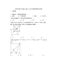 初中数学北师大版（2024）九年级上册3 正方形的性质与判定当堂检测题