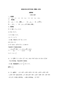 新疆维吾尔自治区和田地区墨玉县2024-2025学年九年级上学期11月月考数学试题