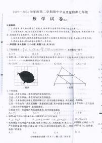 河北省石家庄市赵县2023-2024学年七年级下学期4月期中数学试题