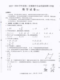 河北省石家庄市赵县2023-2024学年八年级下学期4月期中数学试题