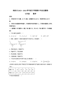 江西省九江市瑞昌市2023-2024学年七年级下学期期中数学试题(含解析)