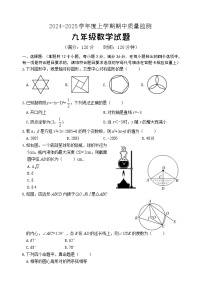 山东省日照市岚山区2024-2025学年九年级上学期期中考试数学试题