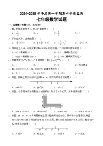 山东省济宁市金乡县2024-2025学年七年级上学期期中考试数学试题