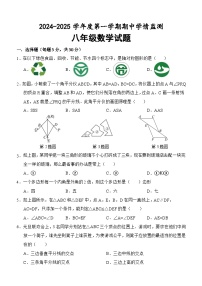 山东省济宁市金乡县2024-2025学年八年级上学期期中考试数学试题