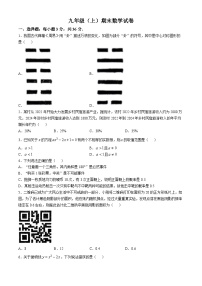 山东省邹平市魏桥镇初级中学2024-2025学年九年级上学期期中考试数学试卷(无答案)