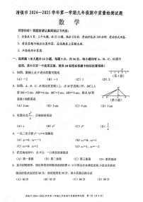 贵州省贵阳市清镇市2024-2025学年九年级上学期11月期中数学试题