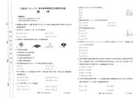 云南省云南省玉溪实验中学2024-2025学年九年级上学期11月期中数学试题