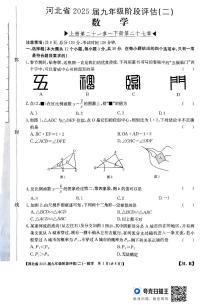 河北省廊坊市2024-2025学年九年级上学期11月月考数学试题