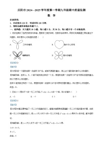 甘肃省庆阳市2024—2025学年上学期九年级数学期中考试卷（解析版）-A4